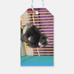 Peep Cadeaulabel