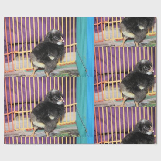 Peep Cadeaupapier (Vlak)