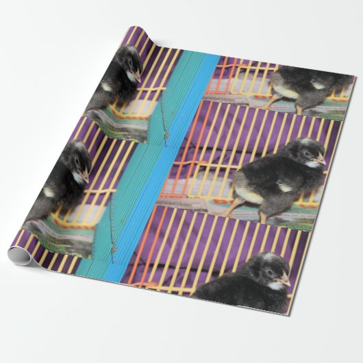 Peep Cadeaupapier (Uitgerold)