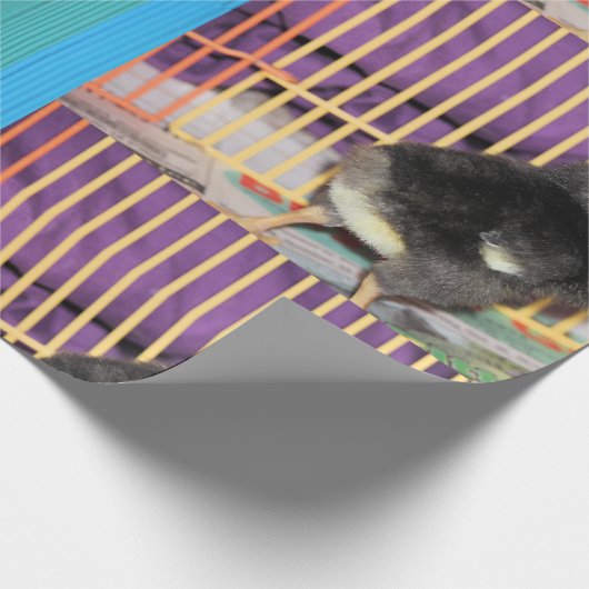 Peep Cadeaupapier (Hoek)