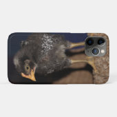 Peep Case-Mate iPhone Case (Achterkant (horizontaal))