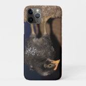 Peep Case-Mate iPhone Case (Achterkant)