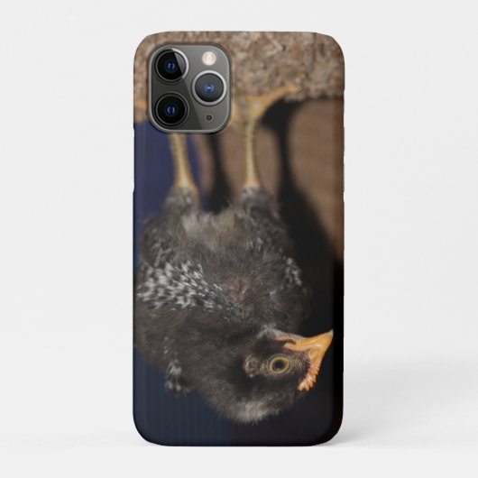 Peep Case-Mate iPhone Case (Achterkant)
