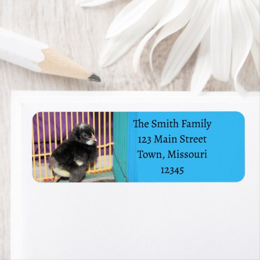 Peep Etiket (Insitu)