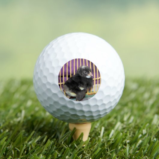 Peep Golfballen (Insitu Shirt)