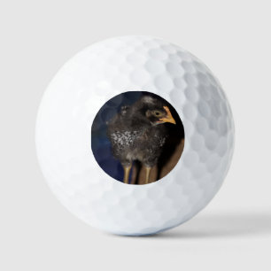Peep Golfballen