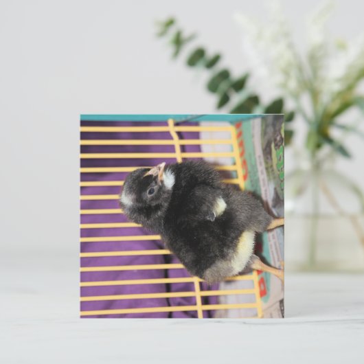 Peep Kaart (Staand voorkant)