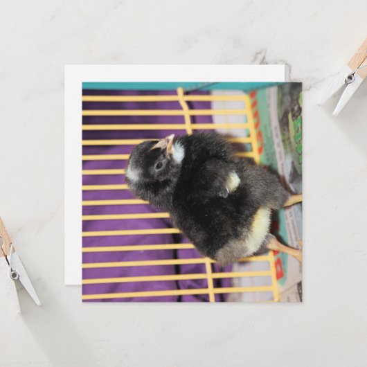 Peep Kaart (Voorkant / Achterkant in situ)