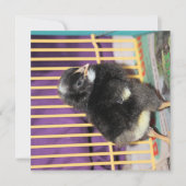 Peep Kaart (Voorkant)