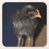 Peep Kartonnen Onderzetters (Voorkant)