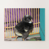 Peep Legpuzzel (Horizontaal)