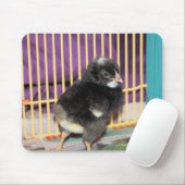 Peep Muismat (Met muis)