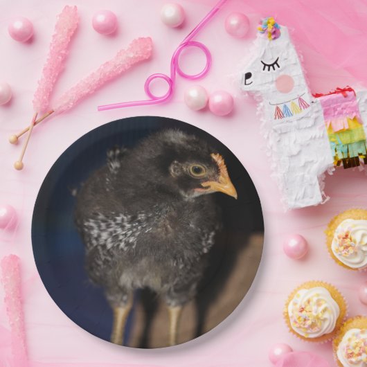 Peep Papieren Bordje (Feest)