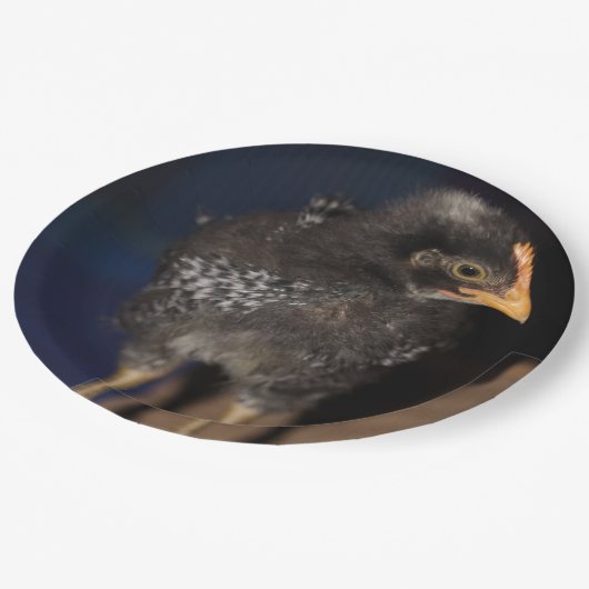 Peep Papieren Bordje (Gekanteld)