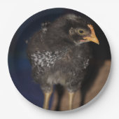 Peep Papieren Bordje (Voorkant)