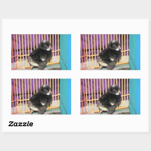 Peep Square Sticker (Vel)