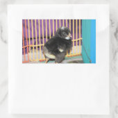 Peep Square Sticker (Tas)