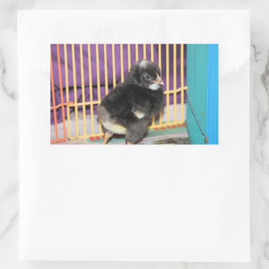 Peep Square Sticker (Tas)