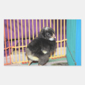 Peep Square Sticker (Voorkant)