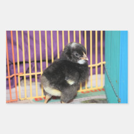 Peep Square Sticker