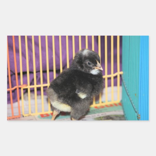 Peep Square Sticker (Voorkant)