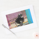 Peep Square Sticker (Envelop)