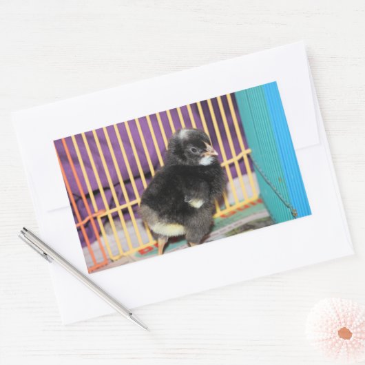 Peep Square Sticker (Envelop)