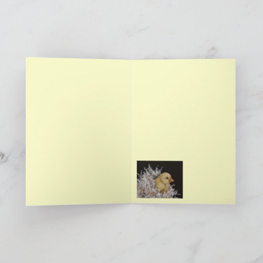 Peep Taxi-kaart Kaart (Binnen)