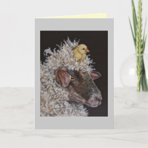 Peep Taxi-kaart Kaart