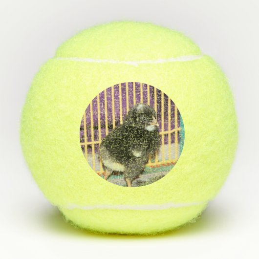 Peep Tennisballen (Voorkant)