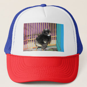 Peep Trucker Pet