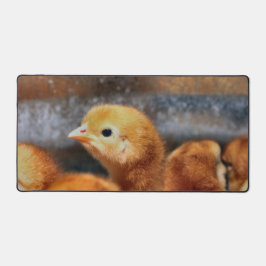 Peepepepiep Bureaumat