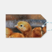 Peepepepiep Cadeaulabel (Voorkant (Horizontaal))