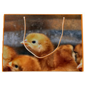 Peepepepiep Groot Cadeauzakje (Voorkant)