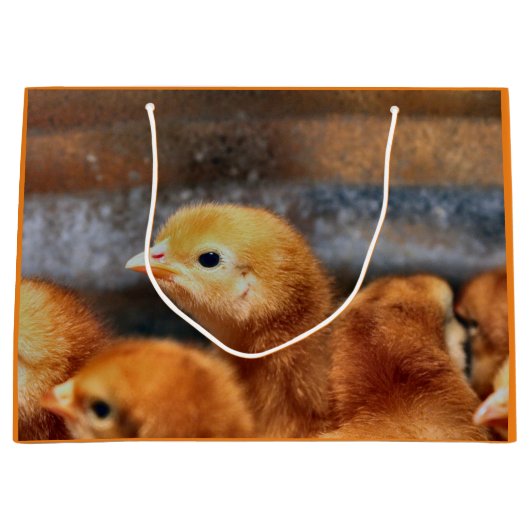 Peepepepiep Groot Cadeauzakje (Voorkant)