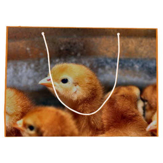 Peepepepiep Groot Cadeauzakje (Achterkant)