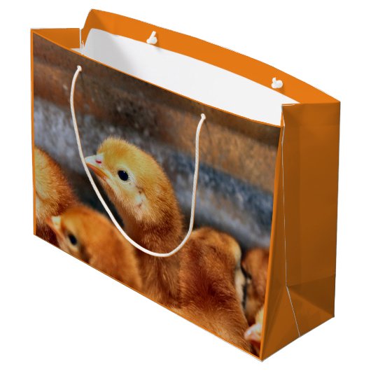 Peepepepiep Groot Cadeauzakje (Achterkant Gekanteld)