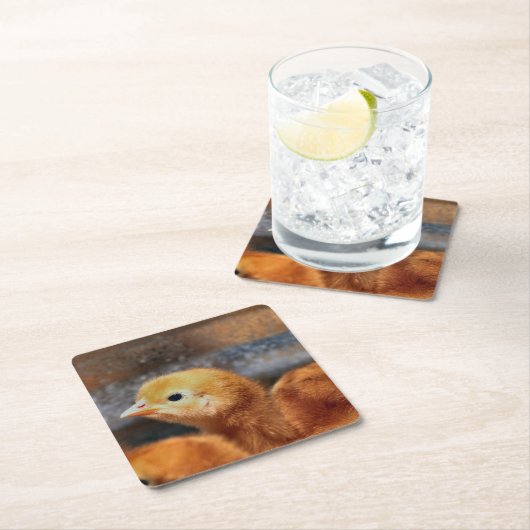 Peepepepiep Kartonnen Onderzetters (Insitu)