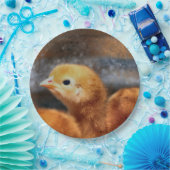 Peepepepiep Papieren Bordje (Feest)