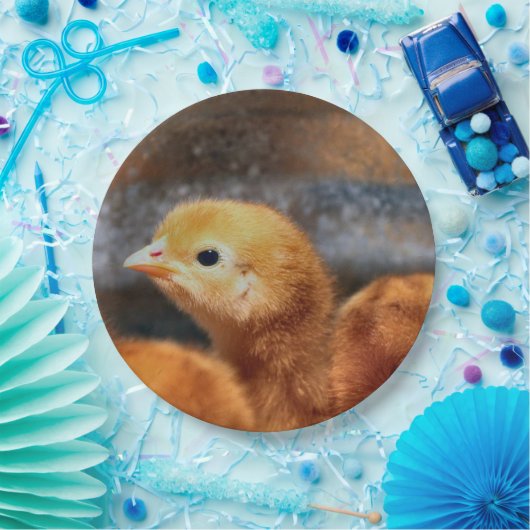 Peepepepiep Papieren Bordje (Feest)