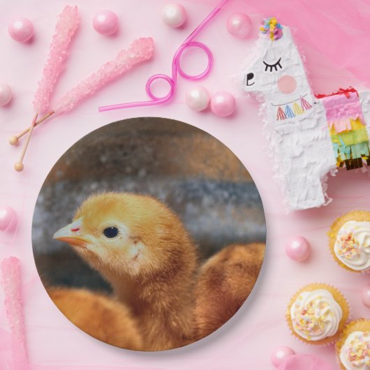 Peepepepiep Papieren Bordje (Feest)