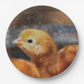 Peepepepiep Papieren Bordje (Voorkant)