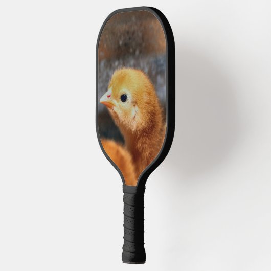 Peepepepiep Pickleball Paddle (Links)
