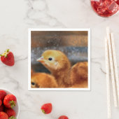 Peepepepiep Servet (Insitu)