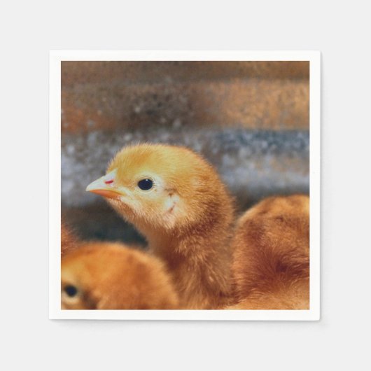 Peepepepiep Servet (Voorkant)