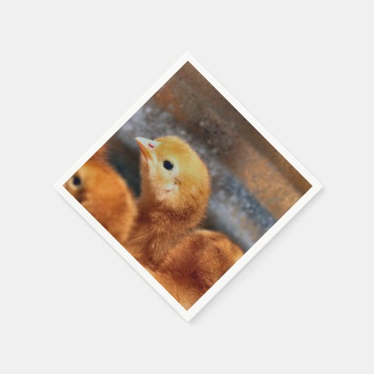 Peepepepiep Servet (Hoek)