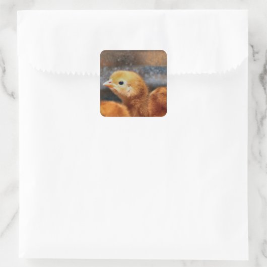 Peepepepiep Vierkante Sticker (Tas)