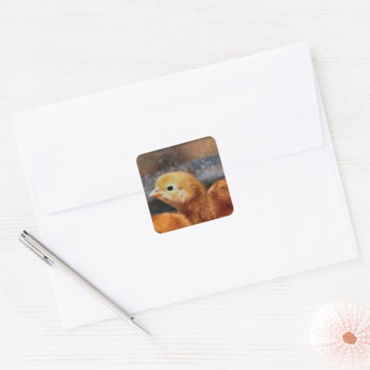 Peepepepiep Vierkante Sticker (Envelop)