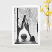 Peepeye2 Kaart (Gele Bloem)