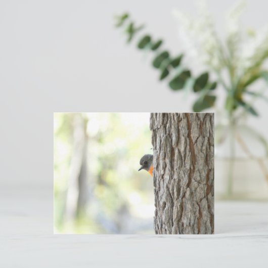 Peeping Struik Robin Kaart (Staand voorkant)